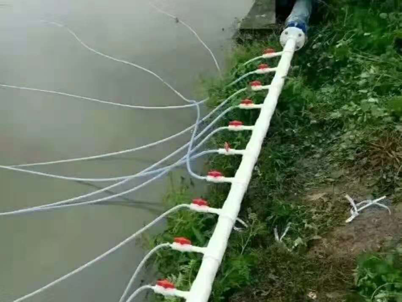绿洲公司项目