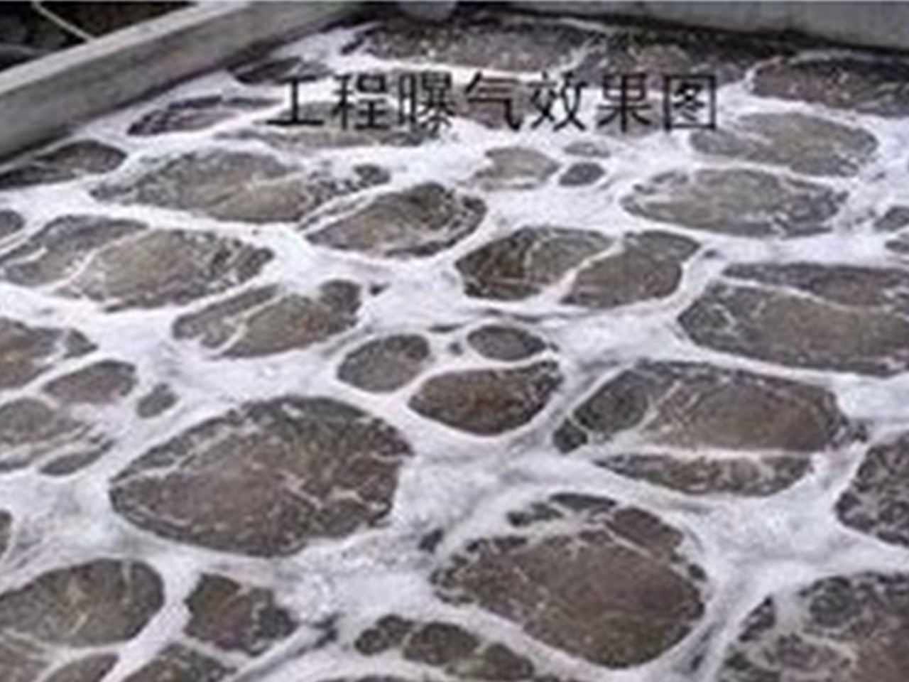 案例展示一